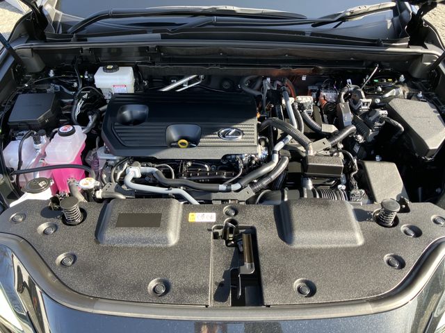 TOYOTA LEXUS NX350H 2023 Image 31