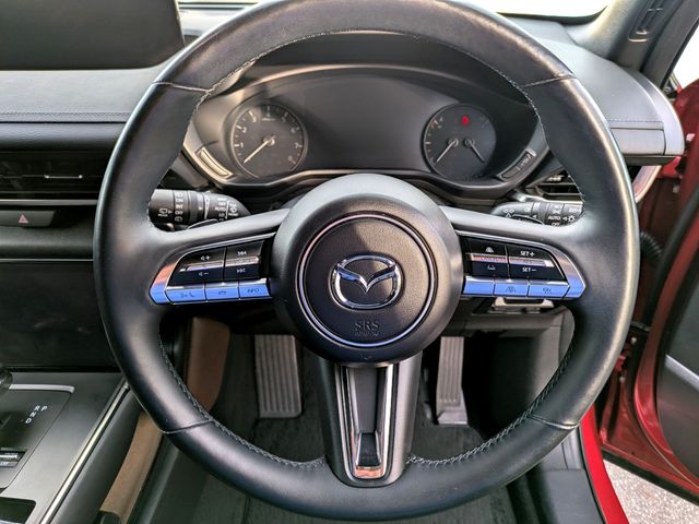 MAZDA MX-30 2021 Image 31