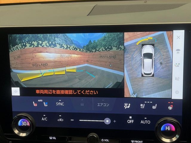 TOYOTA LEXUS NX450H+ AWD 2021 Image 31