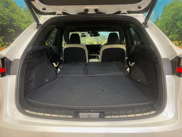 TOYOTA LEXUS NX450H+ AWD 2021 Image 31