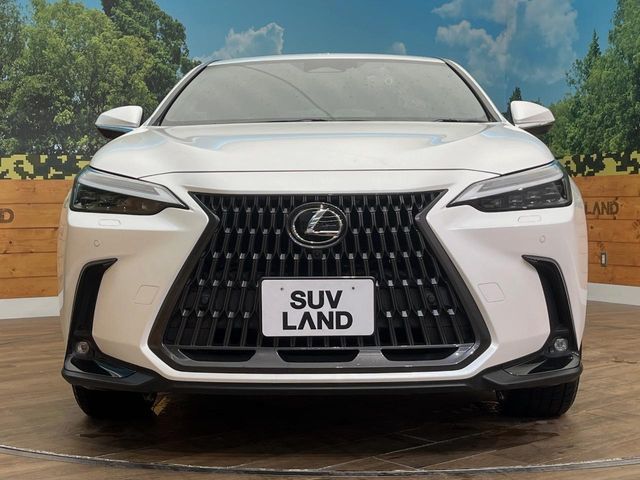 TOYOTA LEXUS NX450H+ AWD 2021 Image 31