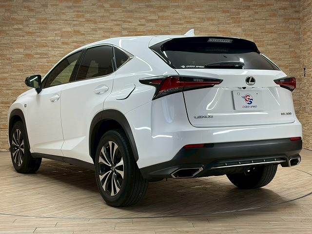 TOYOTA LEXUS NX300 2019 Image 31