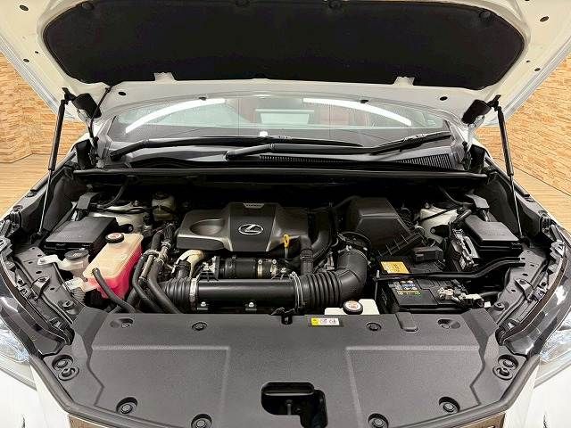 TOYOTA LEXUS NX300 2019 Image 31