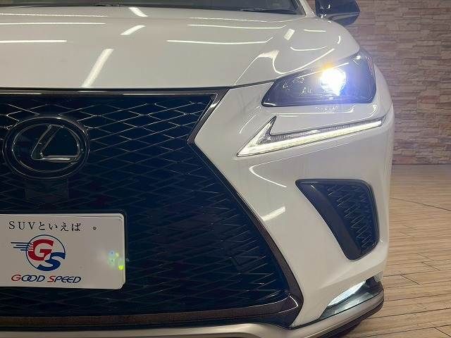 TOYOTA LEXUS NX300 2019 Image 31