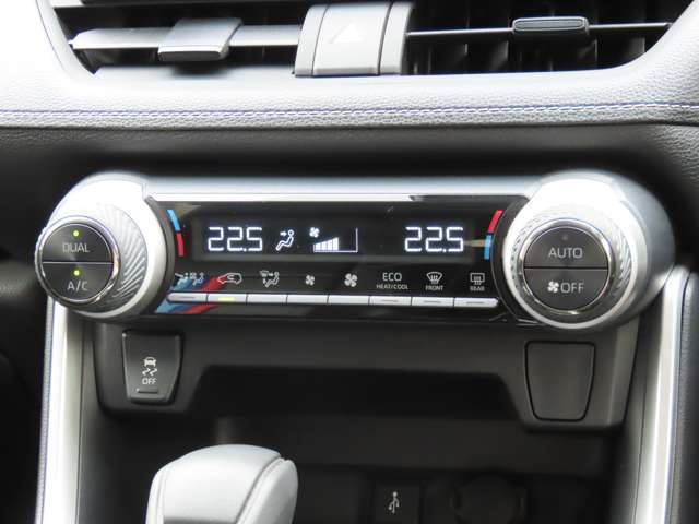 MITSUOKA BUDDY 2022 Image 31