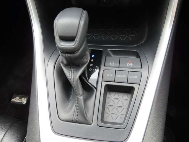 MITSUOKA BUDDY 2022 Image 31