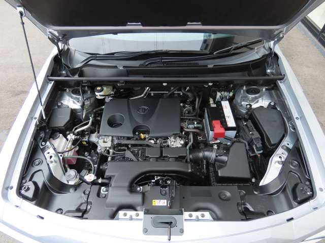 MITSUOKA BUDDY 2022 Image 31