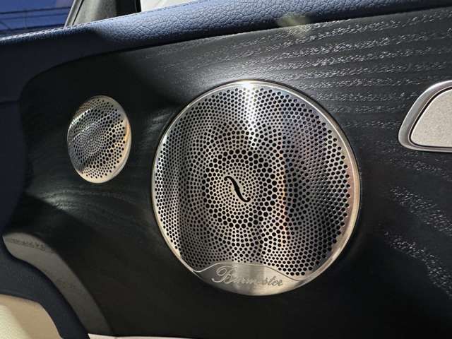 MERCEDES BENZ E CLAS 2023 Image 31