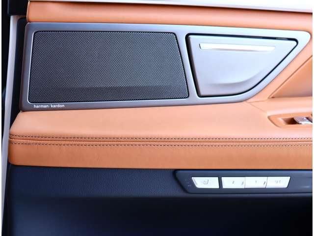 BMW 7SERIES 2016 Image 31