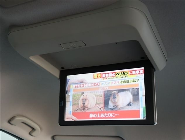 NISSAN ELGRAND 2015 Image 31