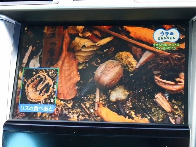 TOYOTA LEXUS LS600H 2012 Image 31