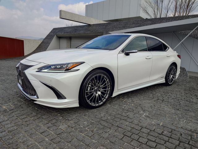 TOYOTA LEXUS ES300H 2019 Image 31