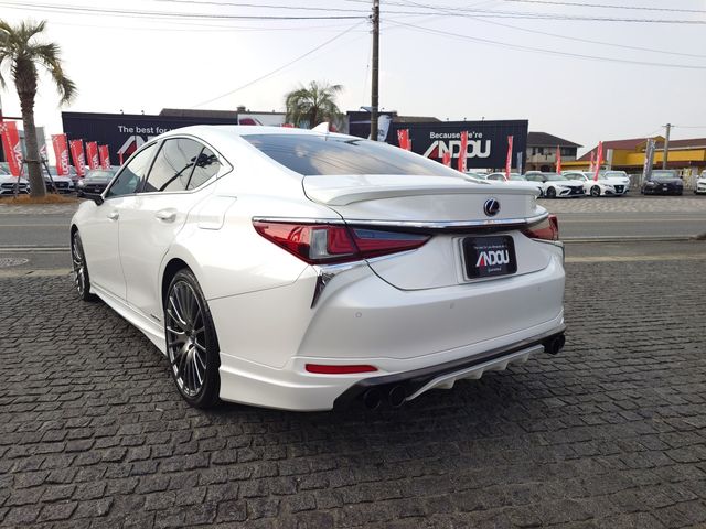 TOYOTA LEXUS ES300H 2019 Image 31