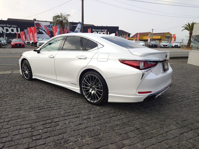 TOYOTA LEXUS ES300H 2019 Image 31