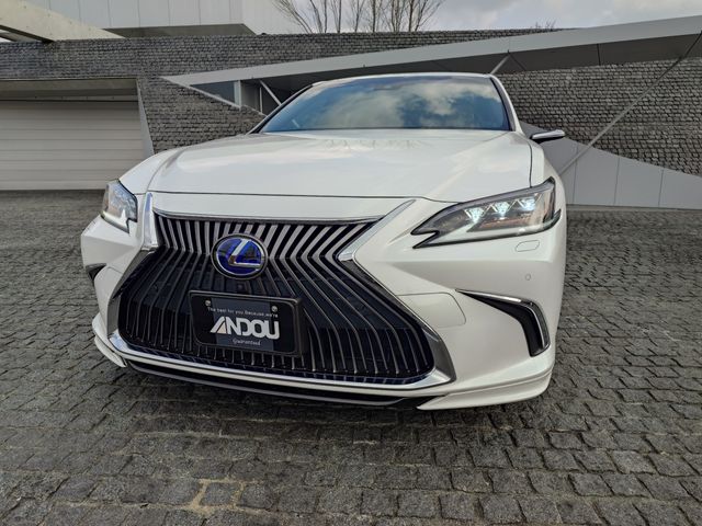 TOYOTA LEXUS ES300H 2019 Image 31