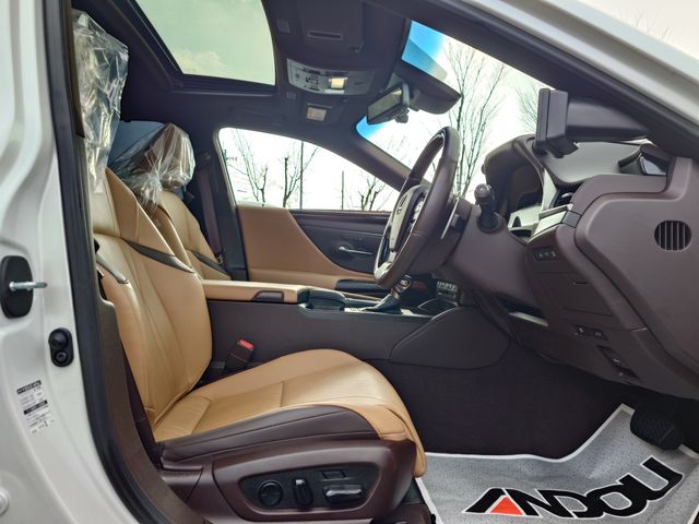 TOYOTA LEXUS ES300H 2019 Image 31