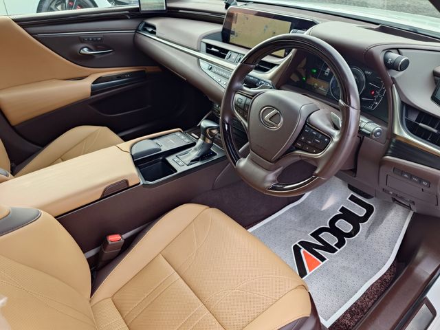 TOYOTA LEXUS ES300H 2019 Image 31