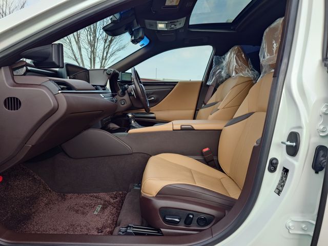 TOYOTA LEXUS ES300H 2019 Image 31