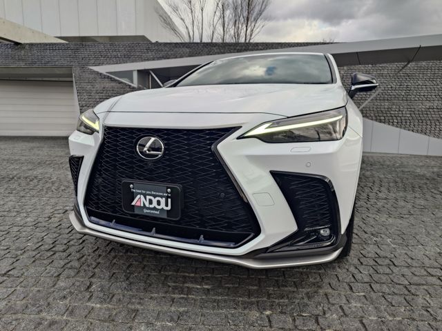 TOYOTA LEXUS NX350H 2023 Image 31