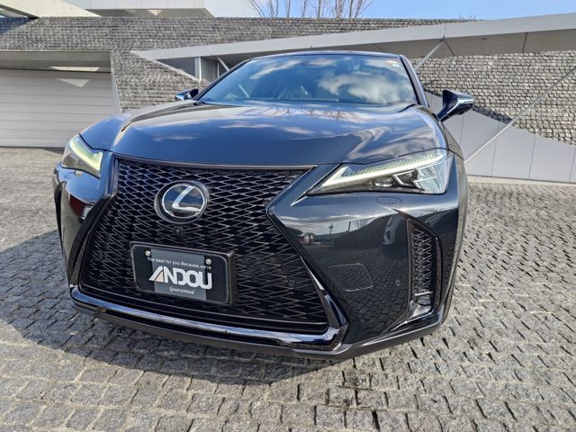 TOYOTA LEXUS UX250H 2023 Image 31