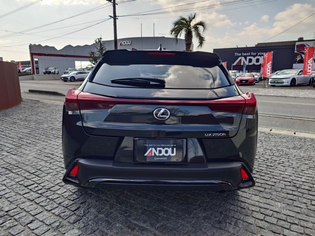 TOYOTA LEXUS UX250H 2023 Image 31