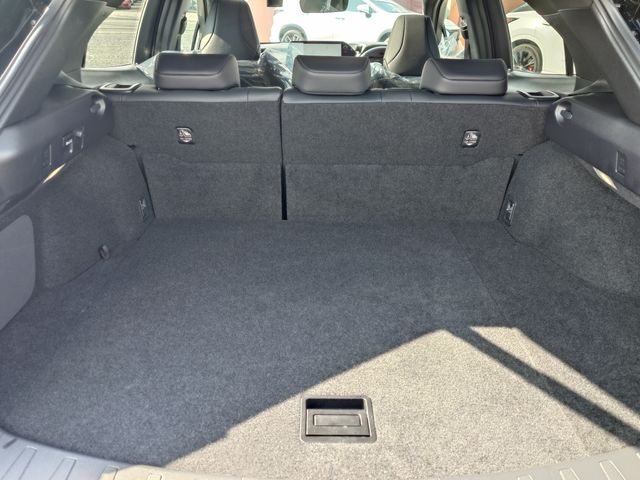 TOYOTA LEXUS UX250H 2023 Image 31