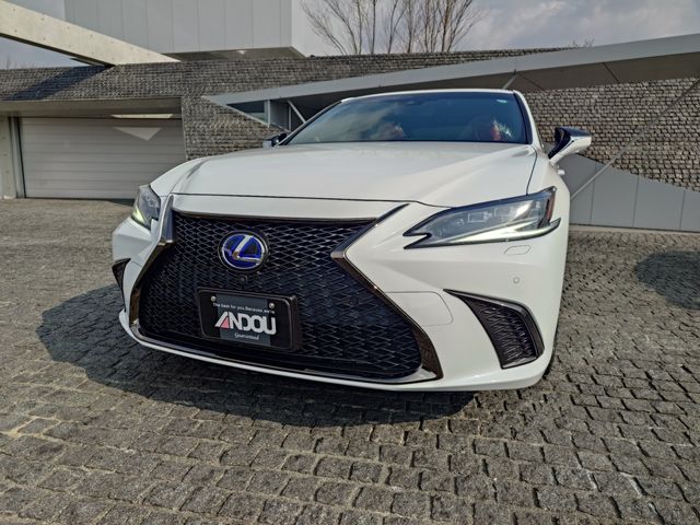 TOYOTA LEXUS ES300H 2021 Image 31