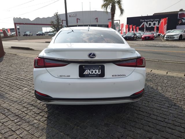 TOYOTA LEXUS ES300H 2021 Image 31