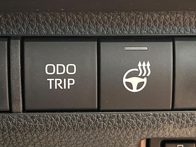 TOYOTA RAV4 4WD 2025 Image 31