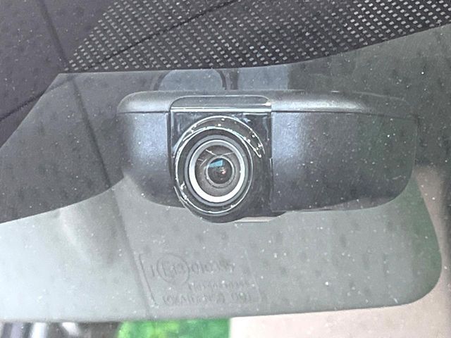 SUZUKI ALTO LAPIN 2019 Image 31