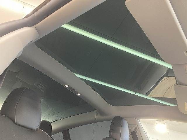 TESLA MODEL 3 2022 Image 31