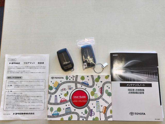 TOYOTA LANDCRUISER 250 2024 Image 31