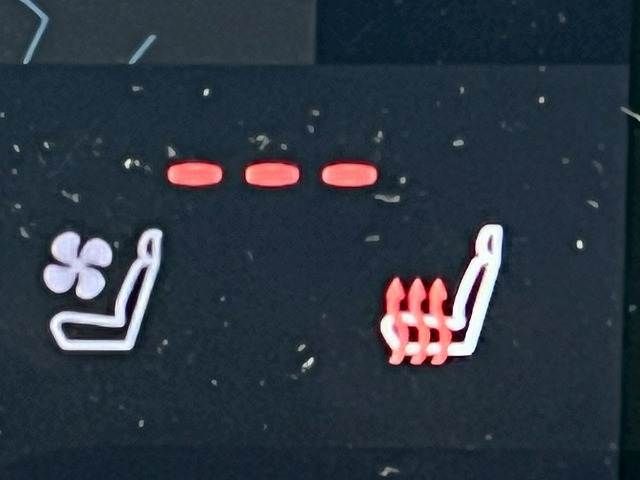 TOYOTA ALPHARD HYBRID 2023 Image 31