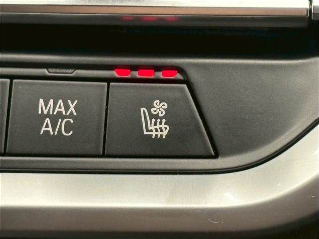 BMW 4SERIES COUPE 2020 Image 31