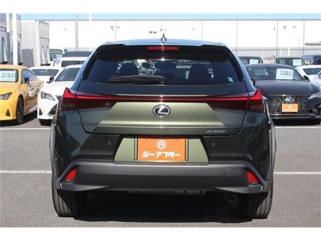 TOYOTA LEXUS UX250H 2023 Image 31