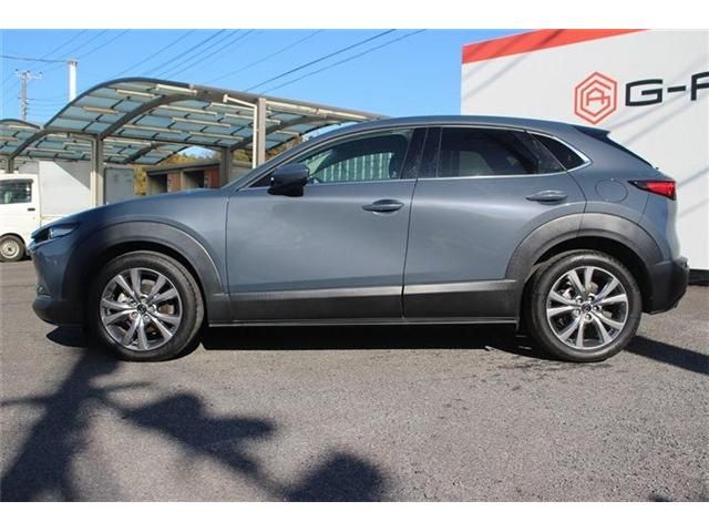 MAZDA CX-30 2019 Image 31