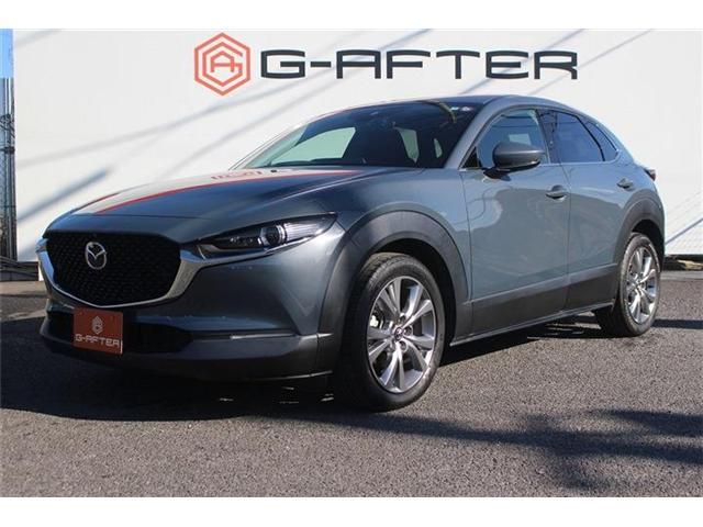 MAZDA CX-30 2019 Image 31