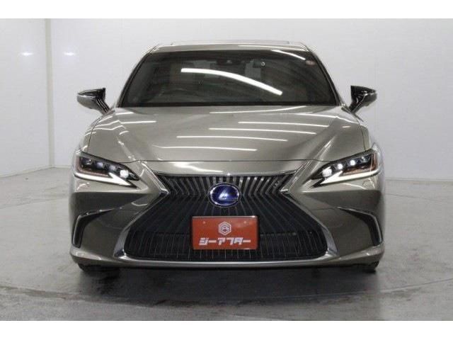 TOYOTA LEXUS ES300H 2020 Image 31