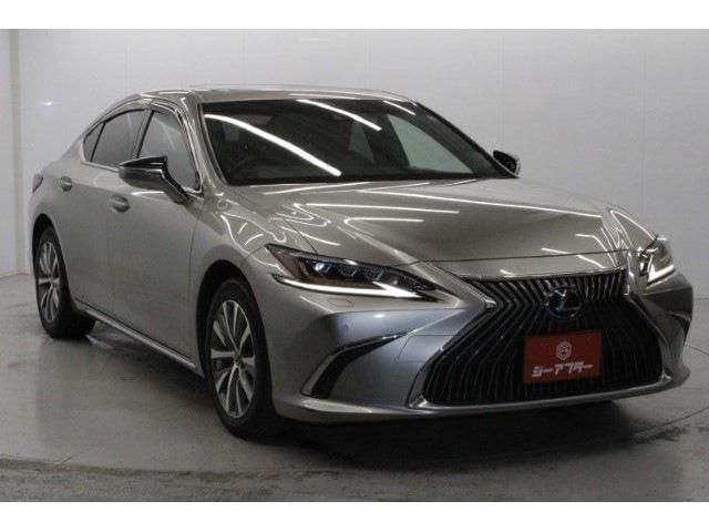 TOYOTA LEXUS ES300H 2020 Image 31