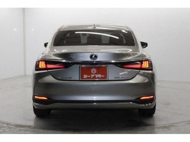 TOYOTA LEXUS ES300H 2020 Image 31