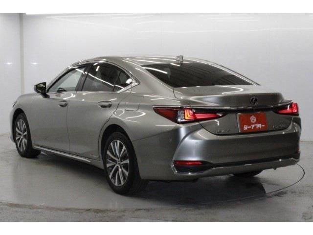 TOYOTA LEXUS ES300H 2020 Image 31