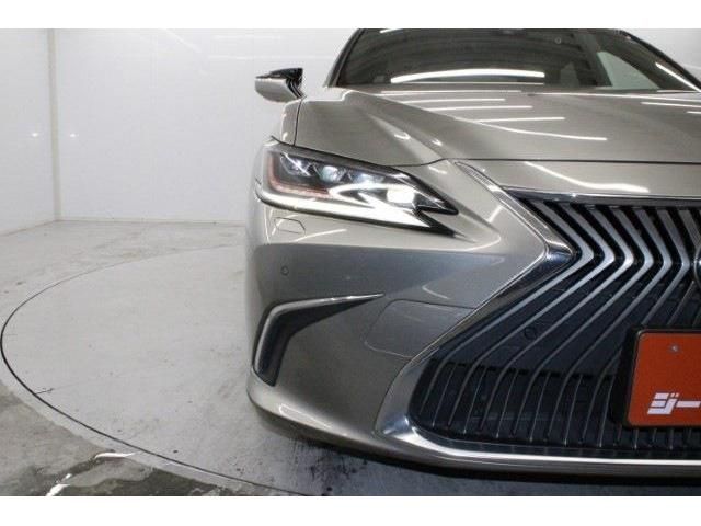 TOYOTA LEXUS ES300H 2020 Image 31