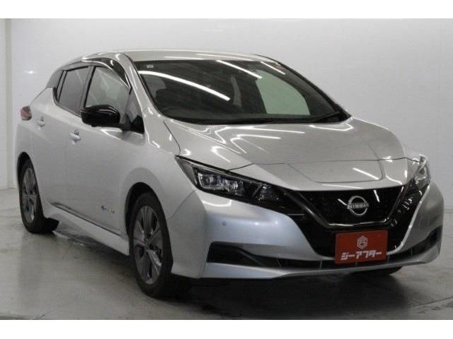 NISSAN LEAF 2021 Image 31