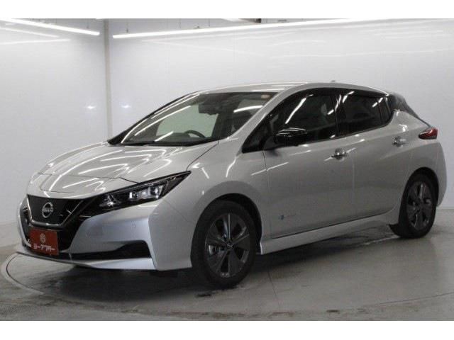 NISSAN LEAF 2021 Image 31