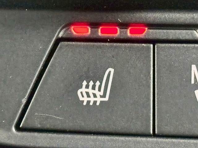 BMW 1SERIES 2020 Image 31