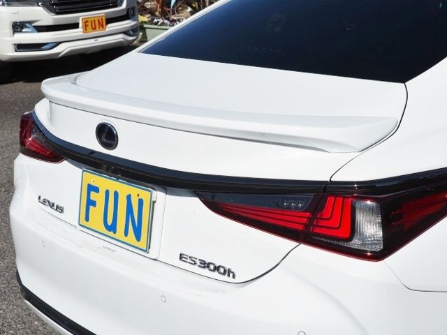 TOYOTA LEXUS ES300H 2022 Image 31