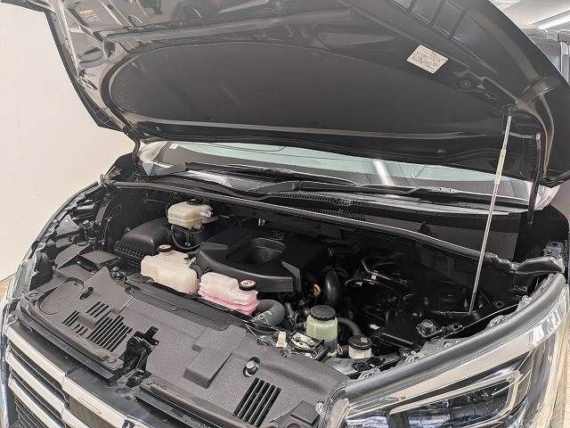 TOYOTA GRANACE 2020 Image 31