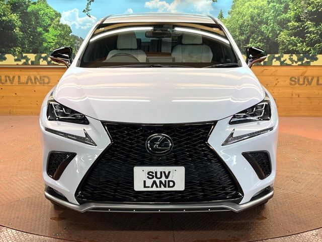 TOYOTA LEXUS NX300 2018 Image 31