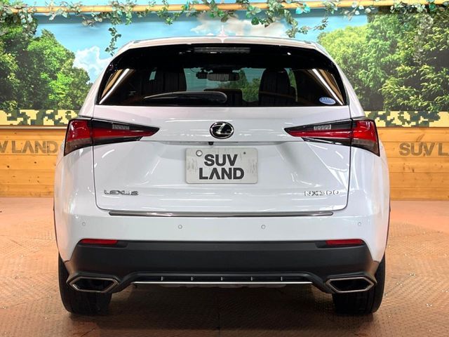 TOYOTA LEXUS NX300 2018 Image 31