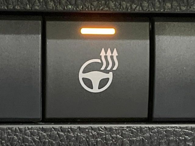 TOYOTA RAV4 4WD 2020 Image 31